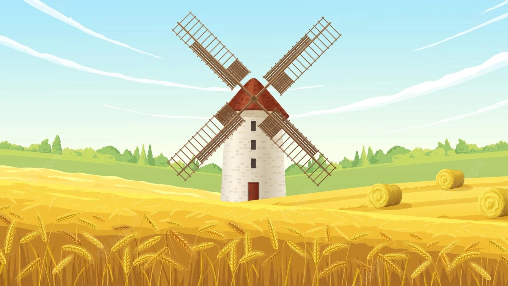 Main Banner Image 1